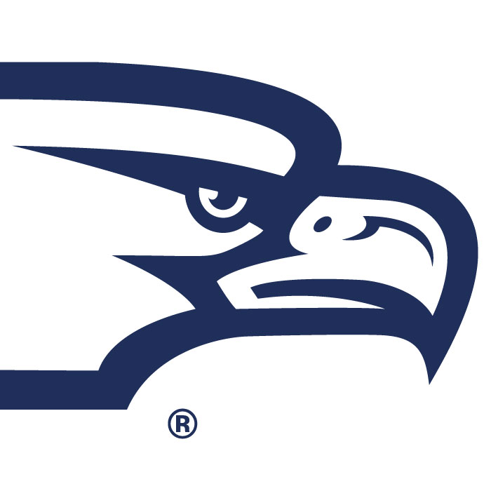 Sidelines Icon