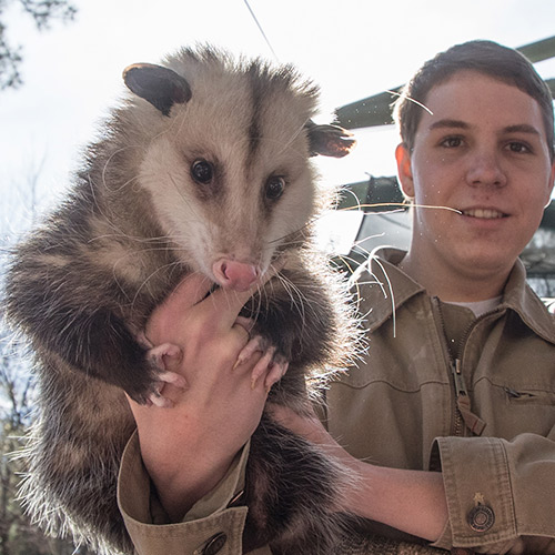 person holding up a possum to the camera