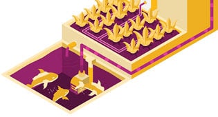 Aquaponics illustration