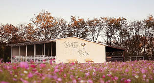 Brett's Barn