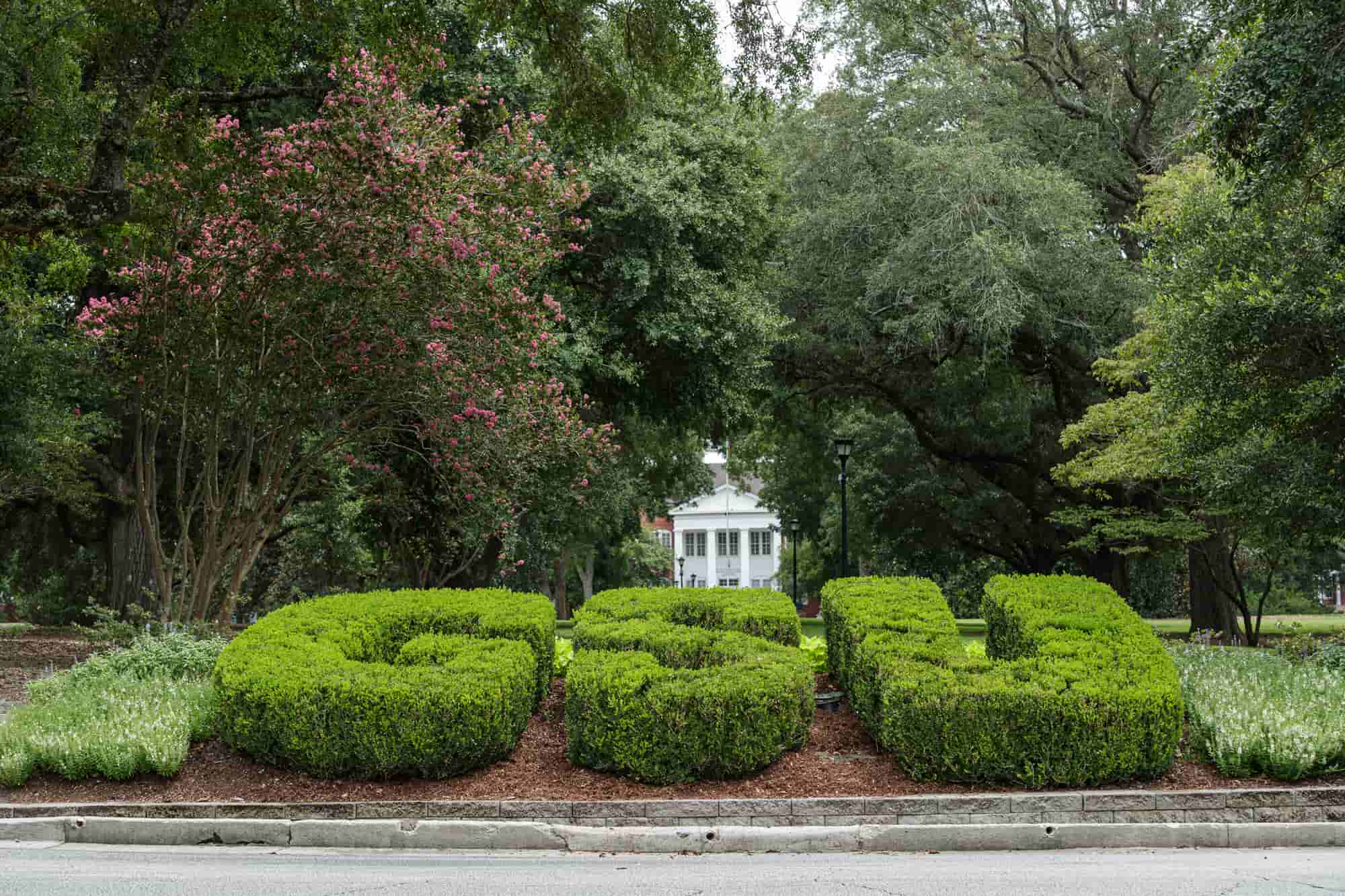 G S U hedges