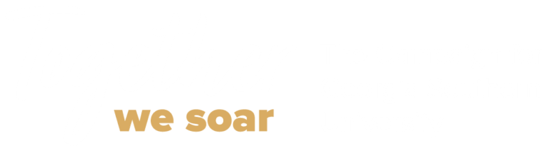 Together We Soar campaign logo